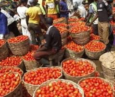 Essential Goods Smile To Masses