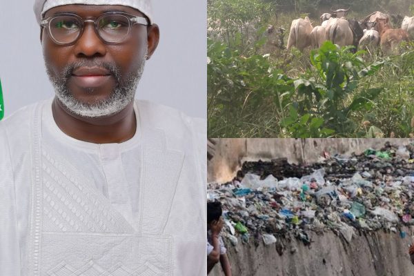 ‎‎ABEOKUTA NORTH LOCAL GOVERNMENT PROHIBITS OPEN REARING, GRAZING OF LIVESTOCKS, HOUSES WITHOUT TOILET